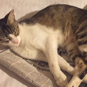 Meet your Posher, Amy